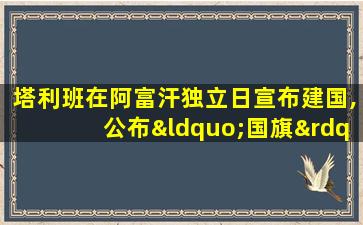 塔利班在阿富汗独立日宣布建国,公布“国旗”样式