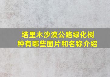 塔里木沙漠公路绿化树种有哪些图片和名称介绍