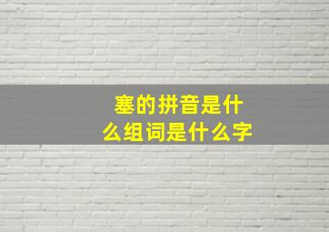 塞的拼音是什么组词是什么字