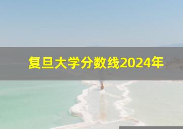 复旦大学分数线2024年