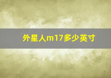 外星人m17多少英寸