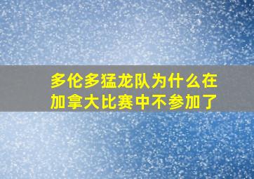 多伦多猛龙队为什么在加拿大比赛中不参加了