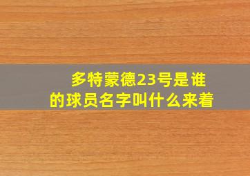 多特蒙德23号是谁的球员名字叫什么来着