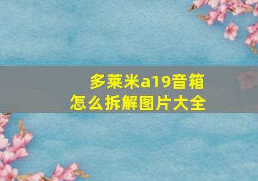 多莱米a19音箱怎么拆解图片大全