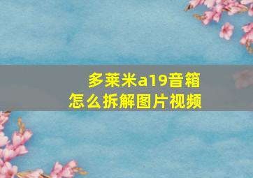 多莱米a19音箱怎么拆解图片视频