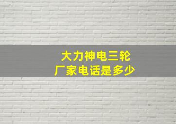 大力神电三轮厂家电话是多少