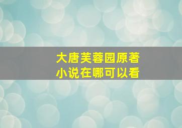 大唐芙蓉园原著小说在哪可以看