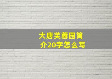 大唐芙蓉园简介20字怎么写