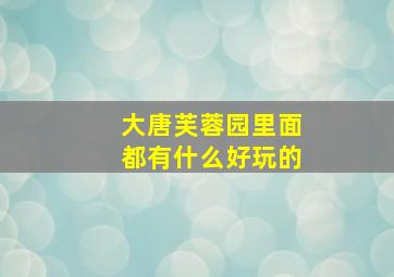 大唐芙蓉园里面都有什么好玩的