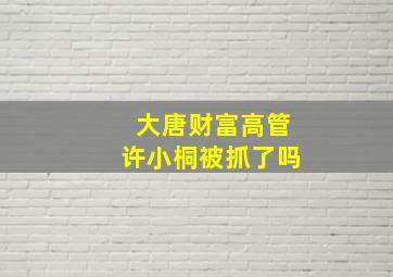 大唐财富高管许小桐被抓了吗