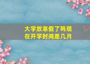 大学放寒假了吗现在开学时间是几月