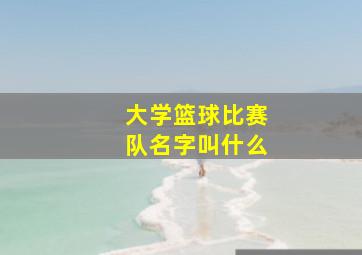 大学篮球比赛队名字叫什么