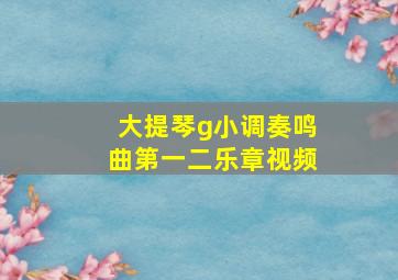 大提琴g小调奏鸣曲第一二乐章视频