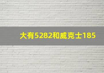 大有5282和威克士185