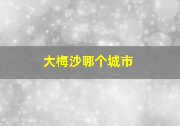 大梅沙哪个城市