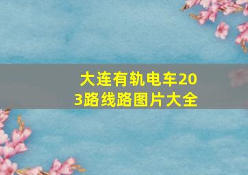 大连有轨电车203路线路图片大全