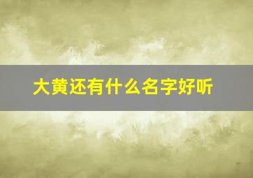 大黄还有什么名字好听