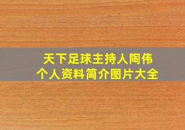 天下足球主持人陶伟个人资料简介图片大全