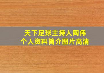 天下足球主持人陶伟个人资料简介图片高清