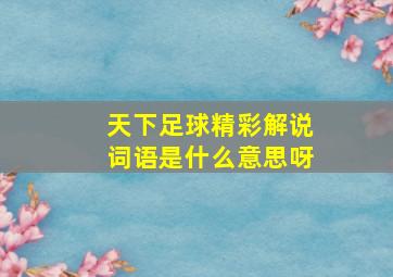 天下足球精彩解说词语是什么意思呀