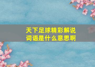 天下足球精彩解说词语是什么意思啊