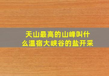 天山最高的山峰叫什么温宿大峡谷的盐开采