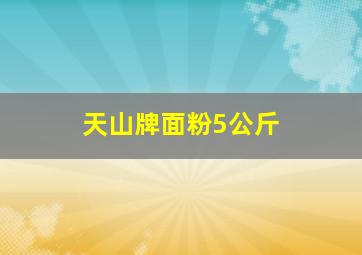 天山牌面粉5公斤