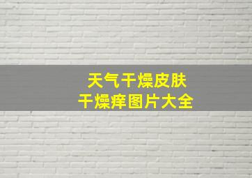 天气干燥皮肤干燥痒图片大全