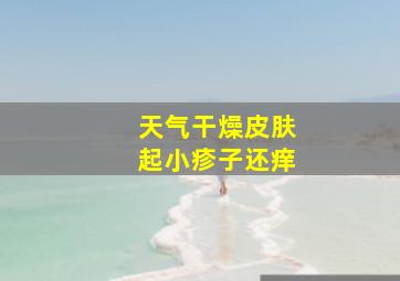 天气干燥皮肤起小疹子还痒