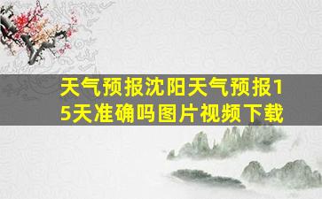 天气预报沈阳天气预报15天准确吗图片视频下载