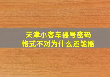 天津小客车摇号密码格式不对为什么还能摇