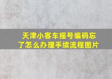 天津小客车摇号编码忘了怎么办理手续流程图片