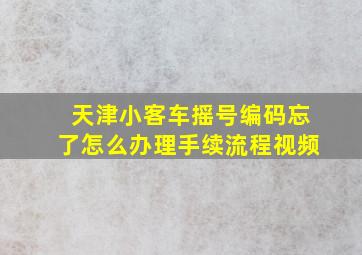 天津小客车摇号编码忘了怎么办理手续流程视频