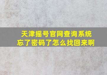 天津摇号官网查询系统忘了密码了怎么找回来啊