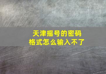 天津摇号的密码格式怎么输入不了