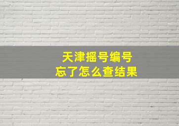 天津摇号编号忘了怎么查结果