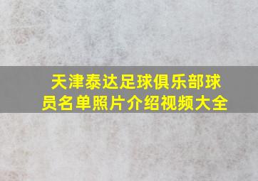 天津泰达足球俱乐部球员名单照片介绍视频大全