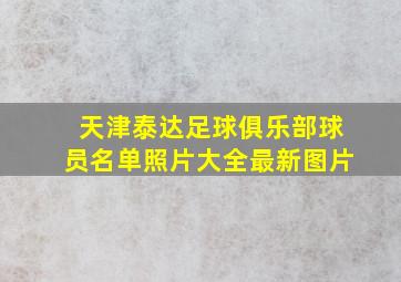 天津泰达足球俱乐部球员名单照片大全最新图片