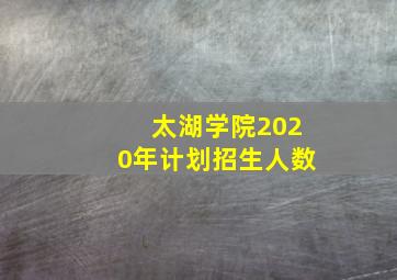 太湖学院2020年计划招生人数