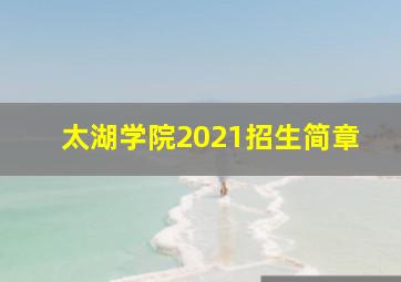 太湖学院2021招生简章