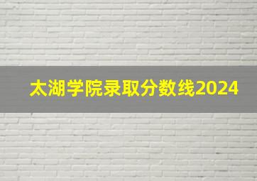 太湖学院录取分数线2024