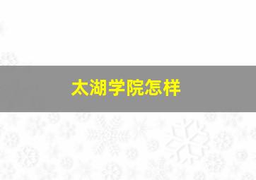 太湖学院怎样