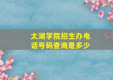 太湖学院招生办电话号码查询是多少