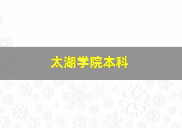 太湖学院本科