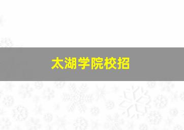 太湖学院校招