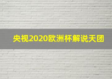 央视2020欧洲杯解说天团