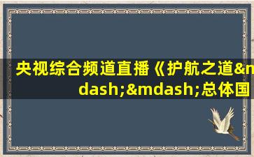 央视综合频道直播《护航之道——总体国家安全观纵横》