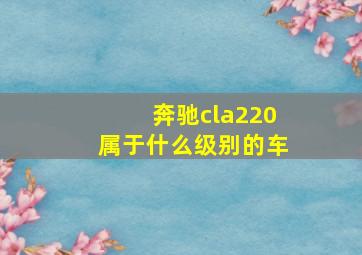 奔驰cla220属于什么级别的车