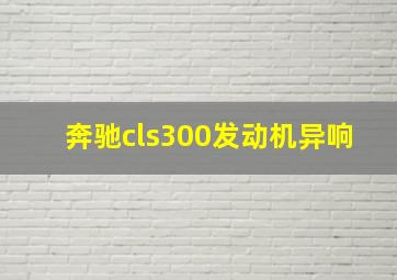 奔驰cls300发动机异响