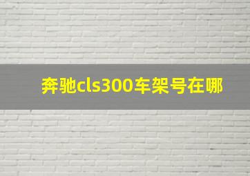 奔驰cls300车架号在哪